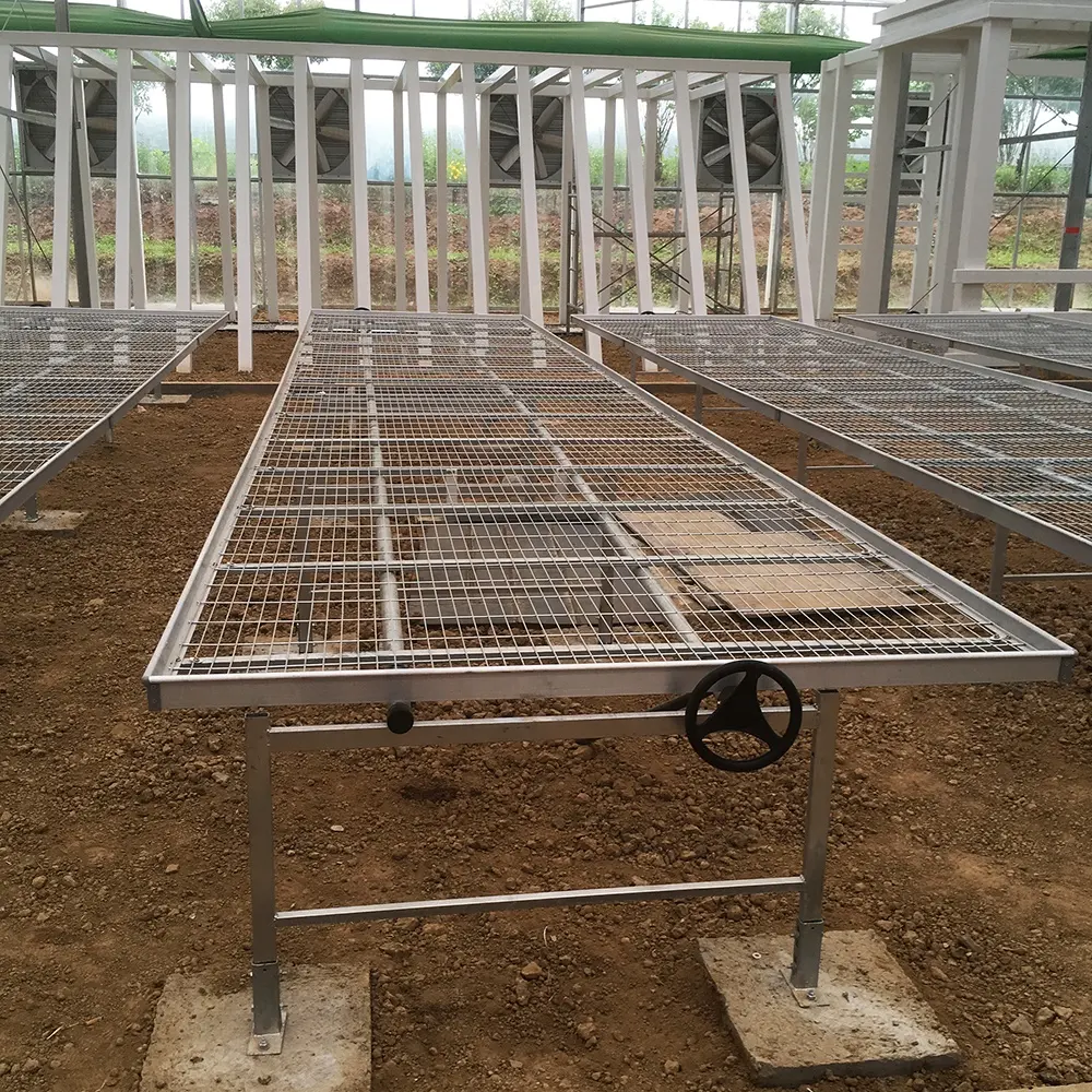 Agricultural Greenhouse Hydroponics ABS Rolling Bench with Top Quality