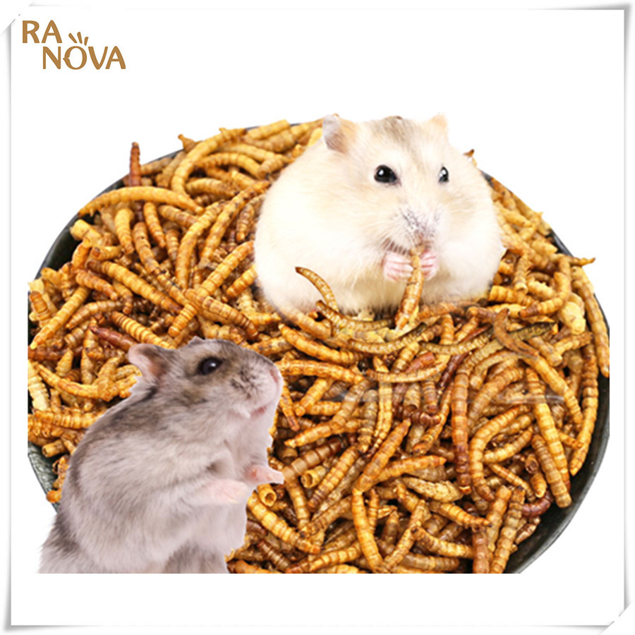 Здоровые закуски для домашних животных горячие продажи сушеный mealworm/замороженный сушеный mealworm/живой mealworm