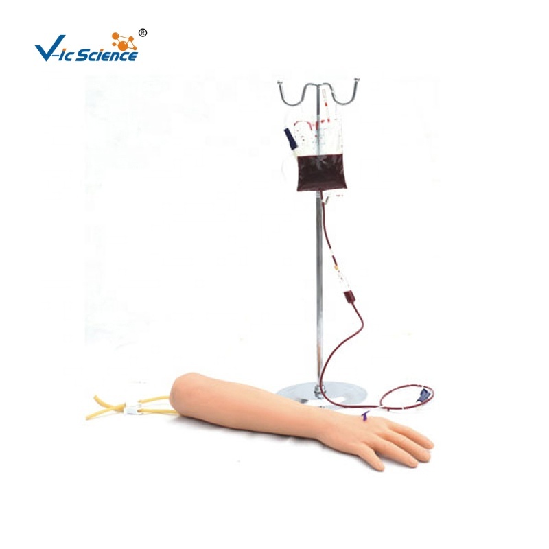 blood return venous vessels and skin Advanced arm vein puncture training arm