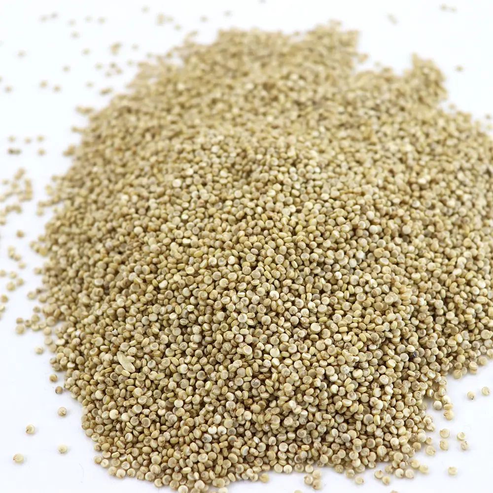 2019 Organic Quinoa Premium Quality Quinoa Grain Conventional Quinoa From China