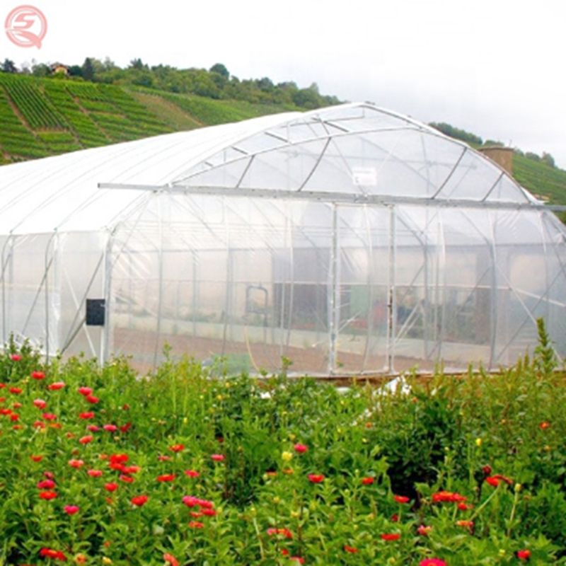 Cheap Flower Growing Tubes High Tunnel Strawberry Greenhouse Sale