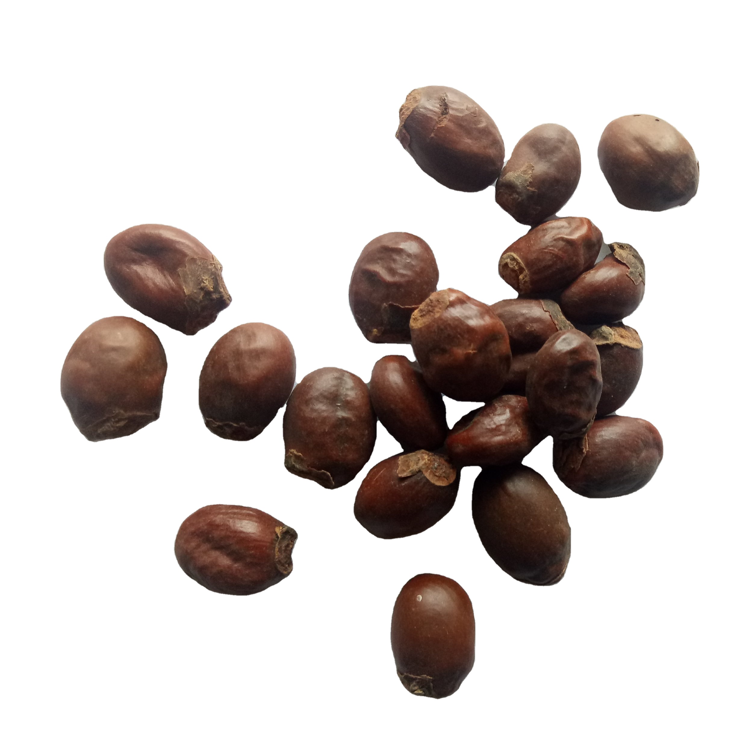 Li zhi he High quality pure seeds dried natural Semen Litchi
