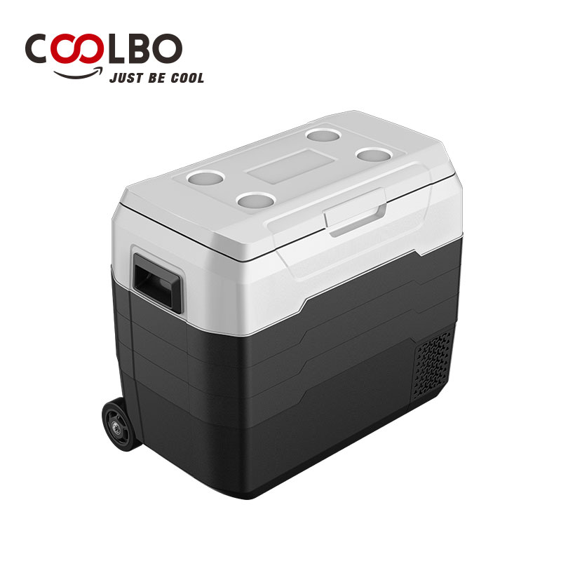 portable fridge alpicool ALG50 outdoor refrigerator 12v 220v ac dc car fridges with wheels