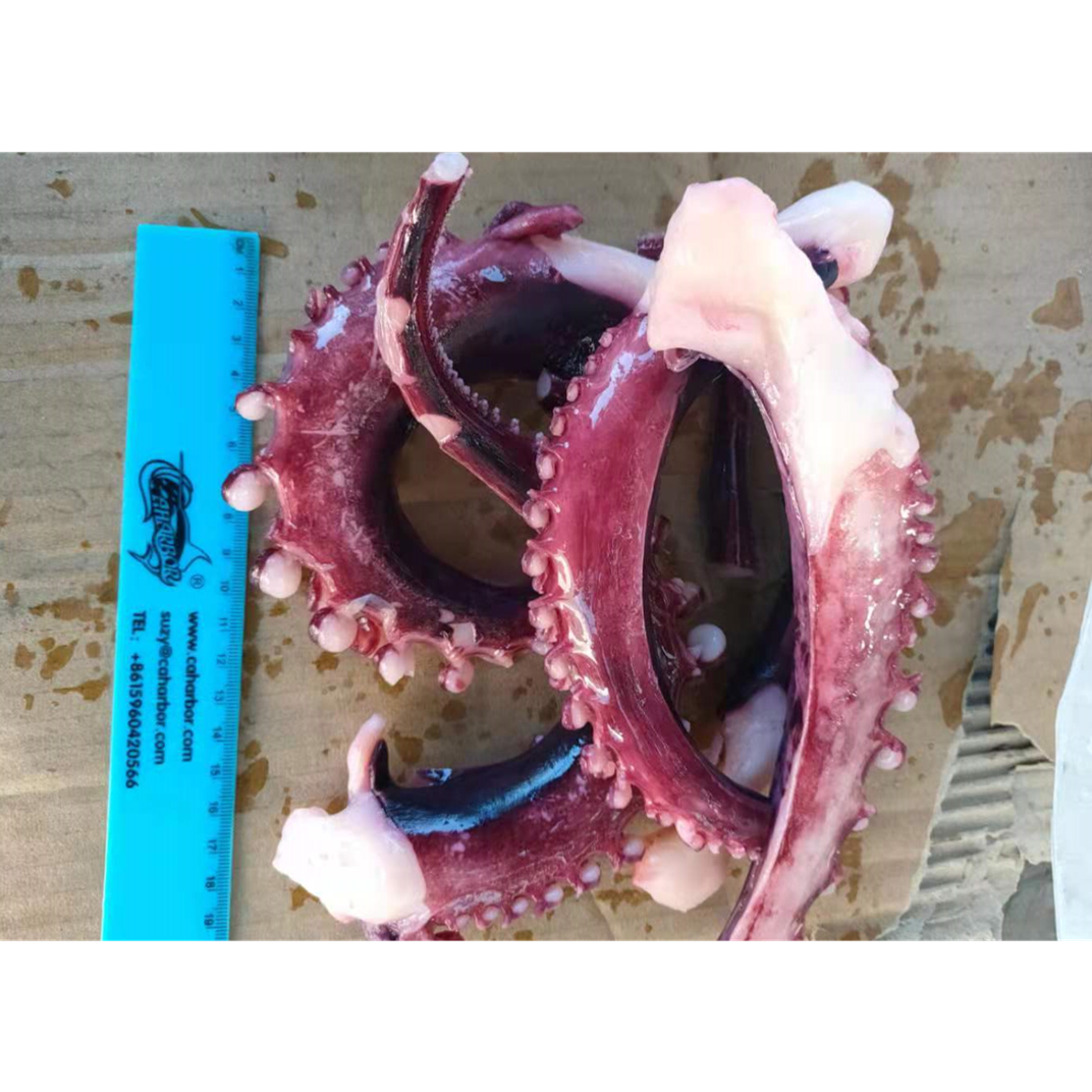 Замороженные кальмары, щупальца от поставщика компании по производству морепродуктов