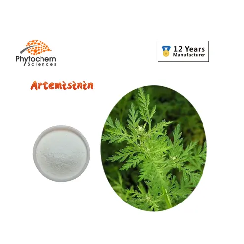 Hot selling Top quality Best price Artemisia Annual L 10 to 1 Sweet Wormwood Extract Artemisinin