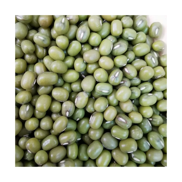 Factory Price Small Mung Bean Vacuum Packing Export Green Mung Beans