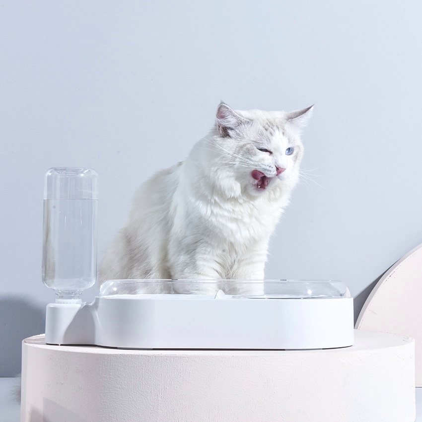 Новейший водяной фонтан для домашних животных, кормушка для еды, миска для путешествий, оптовая продажа, индивидуальная миска для собак и кошек, нескользящая миска для медленного кормления домашних животных