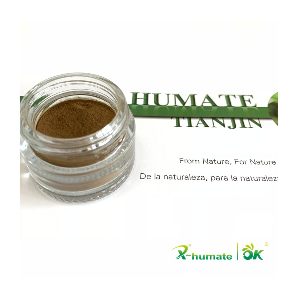Tibet shilajit extract fulvic acid powder in China