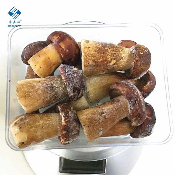 New Crop Wild Porcini Mushroom Frozen Boletus Edulis