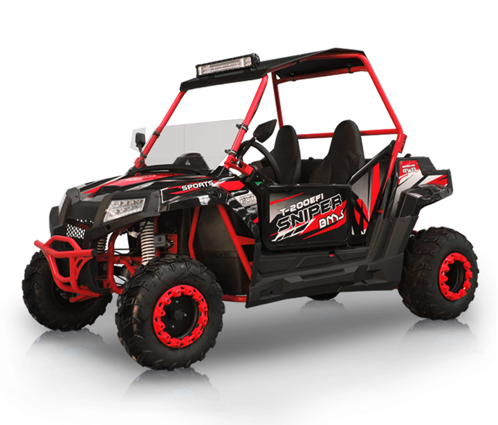 Двухместный Багги EFI 200CC для детей и взрослых с сертификацией EPA