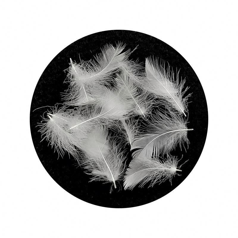 Washing Down Goose Feather Competitive Factory Price High Quality