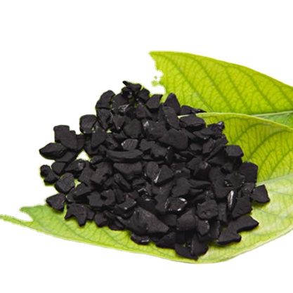 PREGELATINIZED STARCH/ ALPHA TAPIOCA STARCH FOR MAKING CHARCOAL