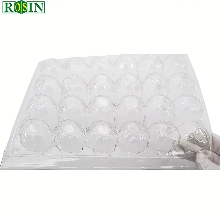 Cheap Eco-friendly Disposable Chicken Egg Carton 3 15 24 30 Holes Plastic Egg Tray Packaging