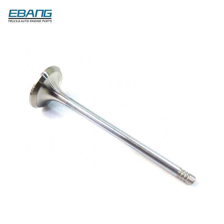 Engine Exhaust Valve 06D109611H