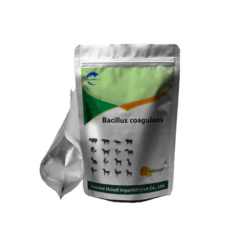 Wholesale High Quality Fish Growth Promoter Probiotic Powder Bacillus Coagulans