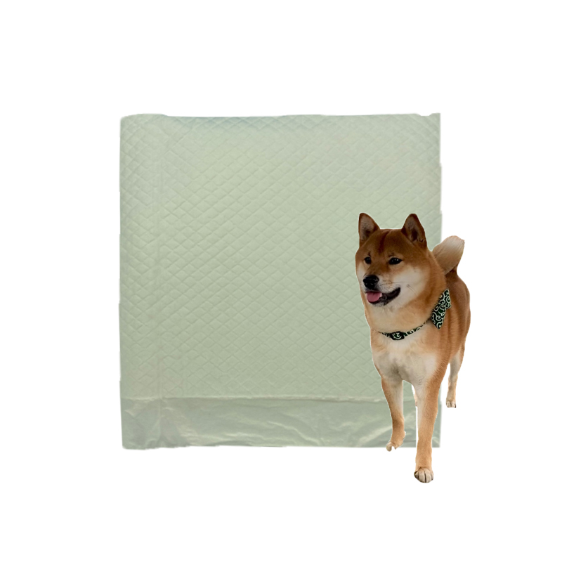Soft Quickly Dry Disposable Dog Pee Training Pet Pad