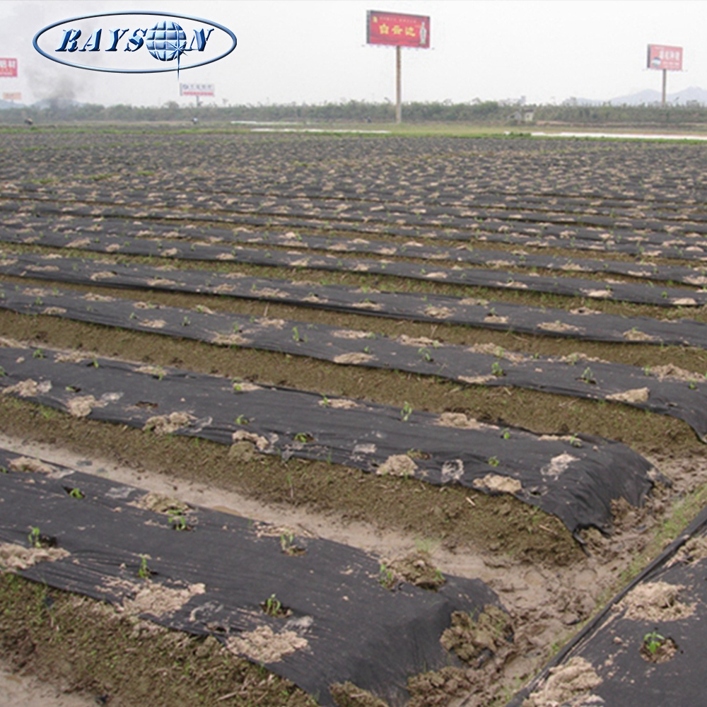 Китайский поставщик Mulching Farm нетканый материал для управления сорняками сельское хозяйство черная Нетканая пленка