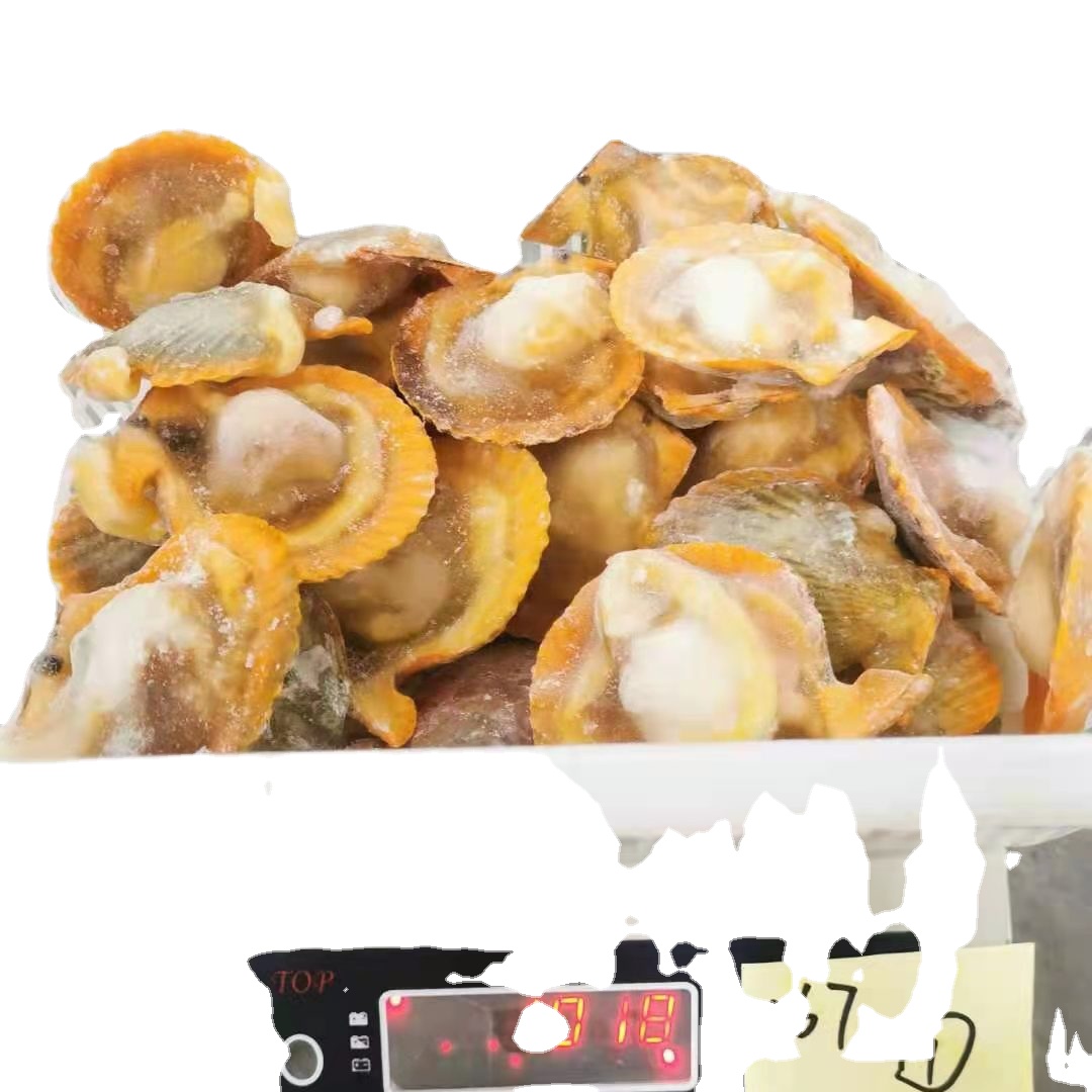 New Season Frozen Half Shell Golden Scallop