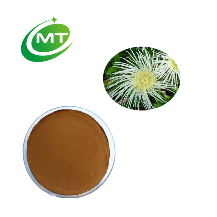 Free Sample Oragnic high quality Kanna extract kanna extract powder Kanna sceletium tortuosum powder