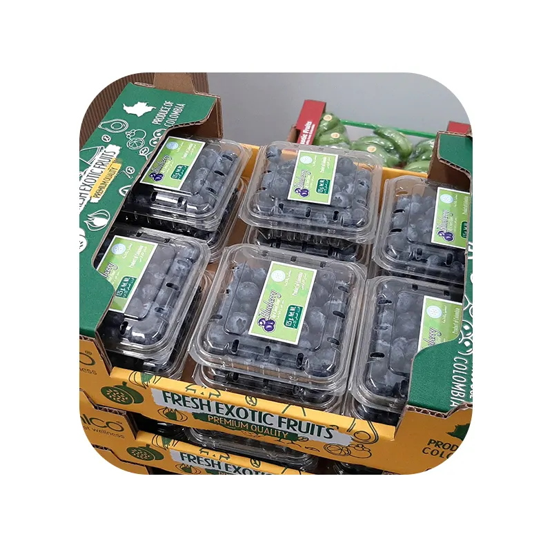Healthy Fruit High Nutritious Quality Fresh Fruit Blueberry for Sale