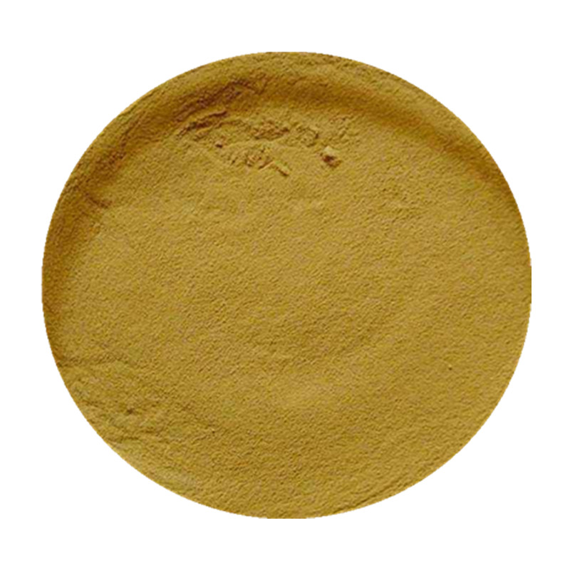 Wholesale price Bacillus Cereus food grade pure Bacillus Cereus Powder