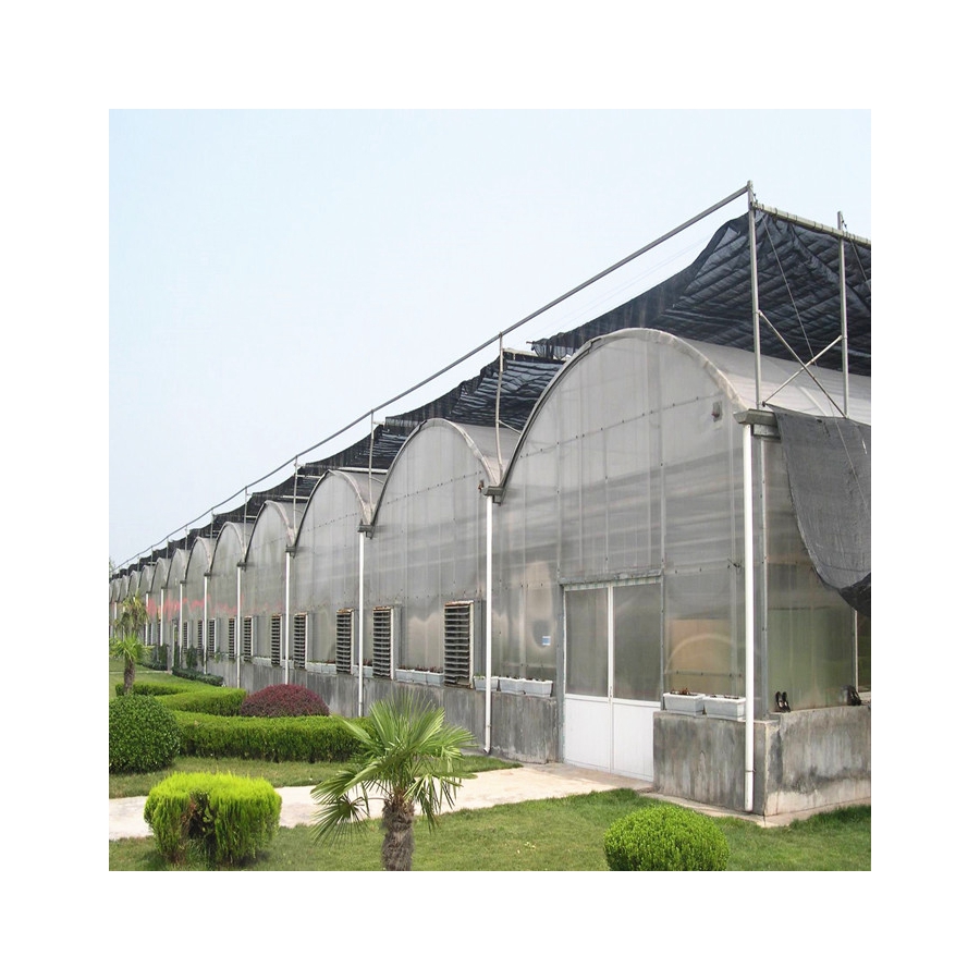 Хорошо продаются новые виды сельское хозяйство Green House материалы в продаже Green House сельское хозяйство теплицы
