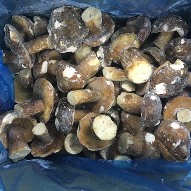 Дикие грибы IQF Boletus Edilus оптом