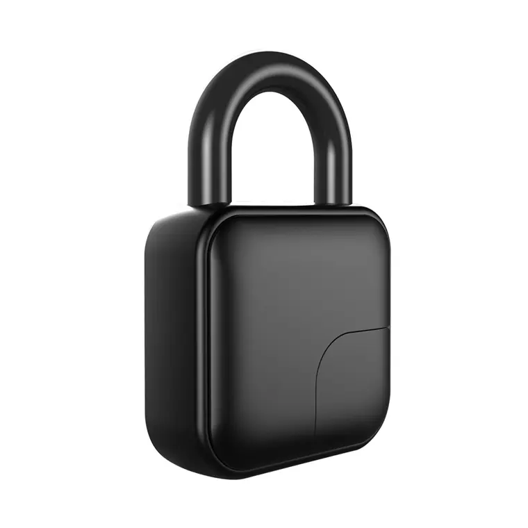 Водонепроницаемый Alexa отпечаток пальца Замок с приложением Ttlock