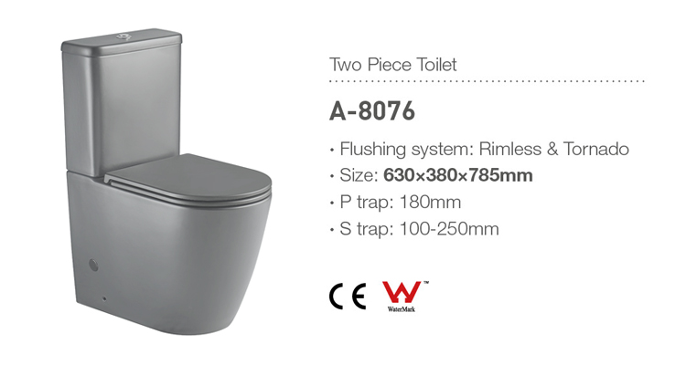 Ceramic WC Bathroom Toilets Two Piece Toilet Sanitary Ware Back To Wall Floor Mounted P-trap Toilet Matte Color