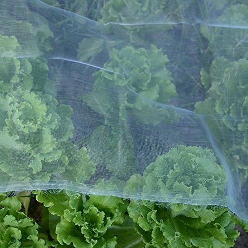 Low cost hdpe 40 50 60mesh agricultural greenhouse anti insect proof plastic net