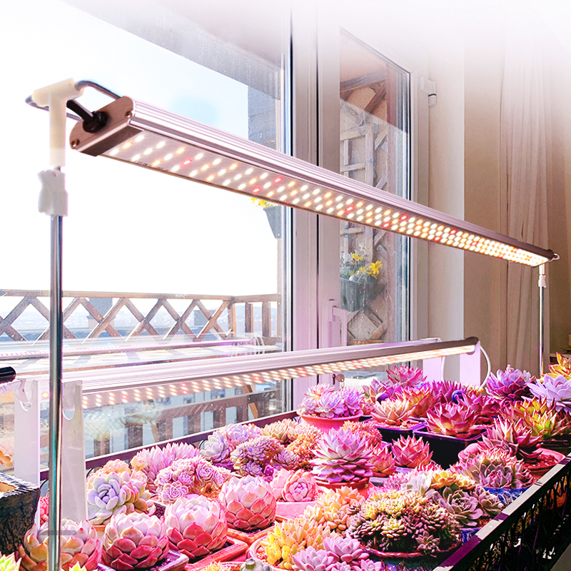 Factory Whosale 50W Full Spectrum UV IR Hydroponics Vertical Farming LED Grow Light Bar