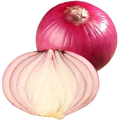 Качественный продукт, оптовая цена, свежий красный и желтый лук