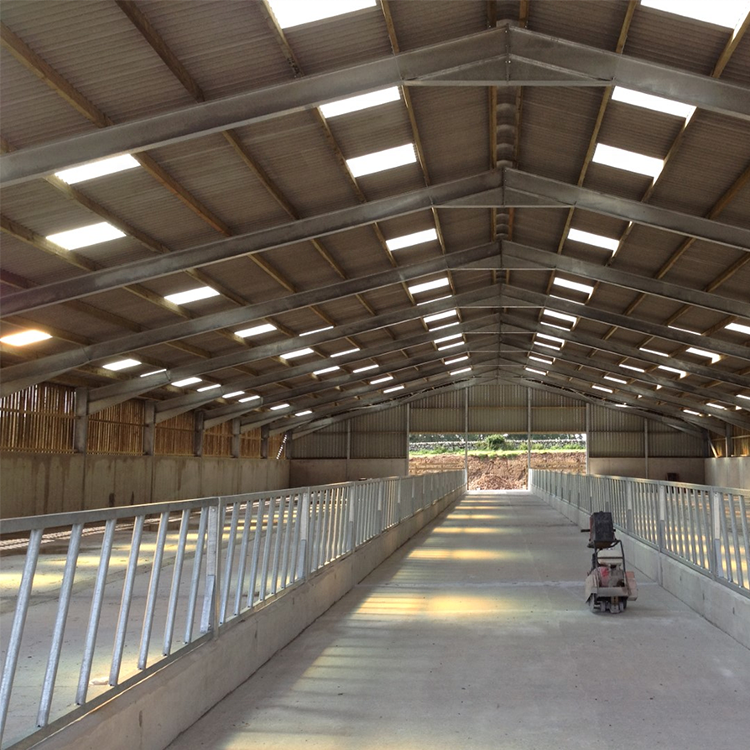 cow cattle farm horse barn stable panels stable horse