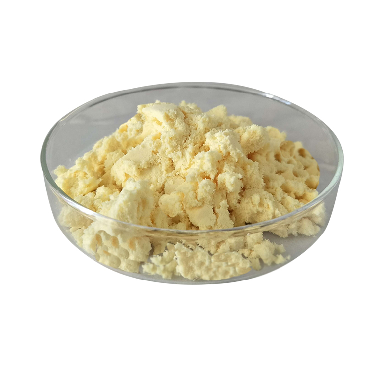 Factory Price Offer Ginger Root Extract Powder 1% Gingerol