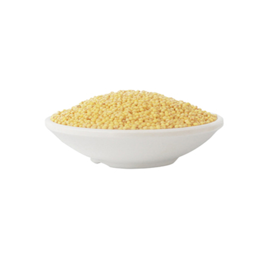 yellow broomcorn millets foxtail millet par vent is millet healthy