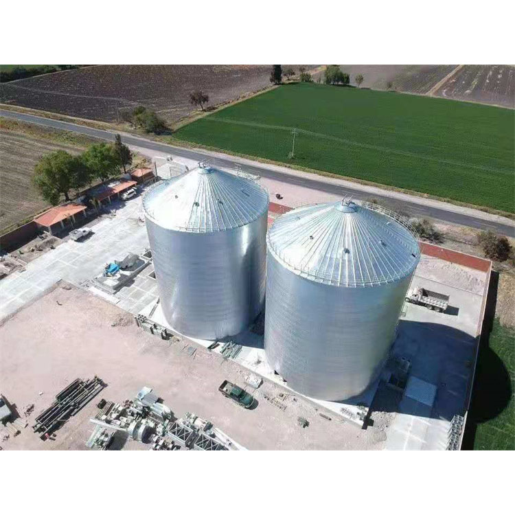 ODM Manufacturer Wear-resisting 5000 Ton Flat Bottom Silo for Rice Farm