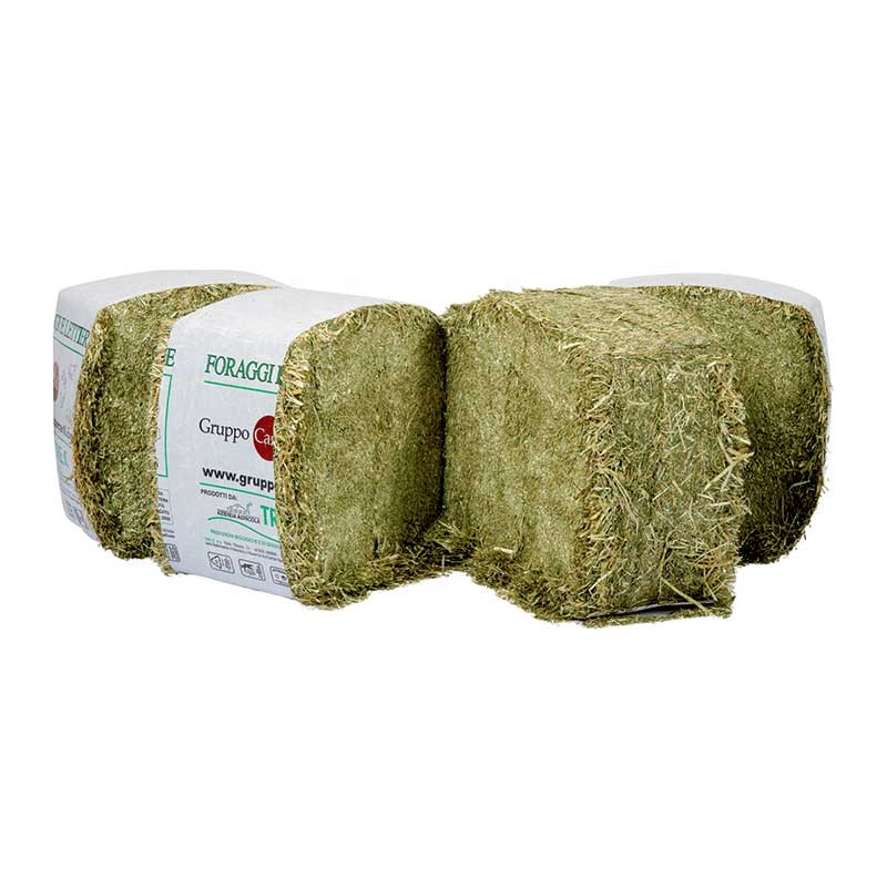 Alfafa Hay Animal Feeding Stuff Alfalfa, hay/alfalfa hay pellets Timothy Hay/ Alfafa in Bales Best Super Top Quality
