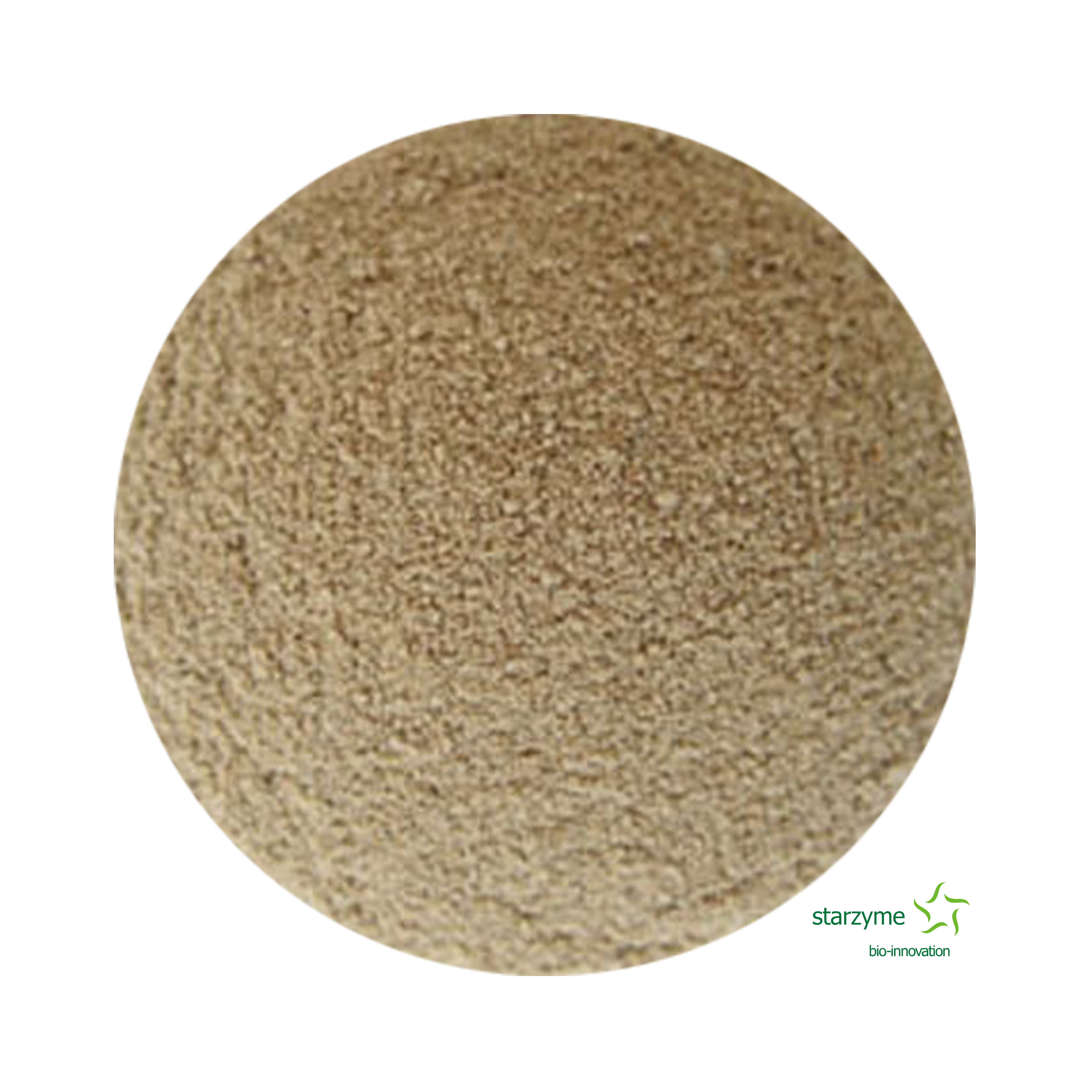 High Content Alkaline Protease Enzyme Feed Grade Enzyme Factory