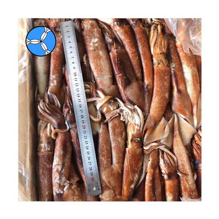 Морепродукты SANFENG по лучшей цене, замороженный Африканский кальмар