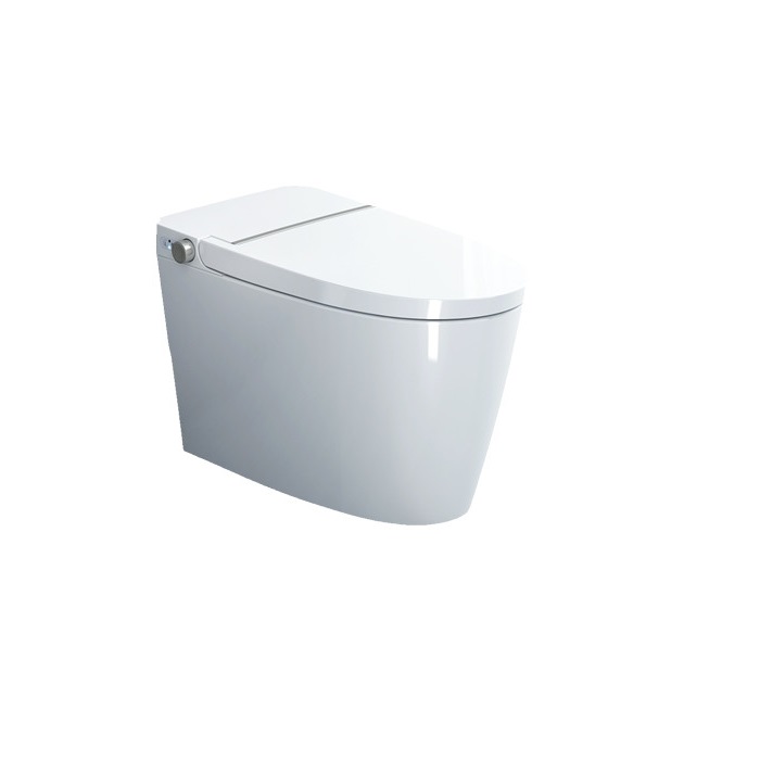 Sanitary Ware One-Button Intelligent Automatic Toilet With Bidet Function Electronic Automatic Intelligent Toilet