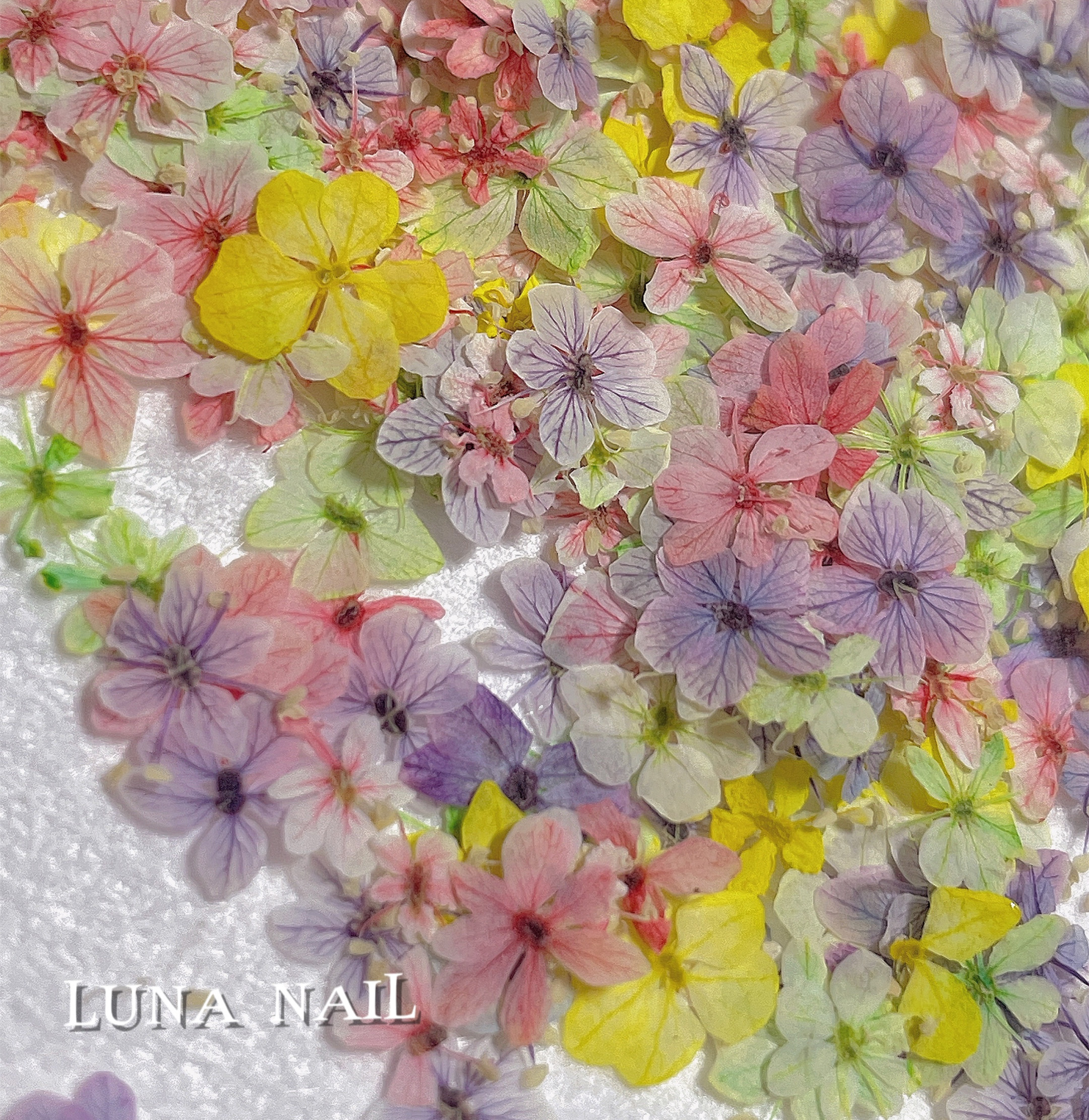 Hot sale nature dried flowers for nails pressed flowers nail art natural flower nail stickers