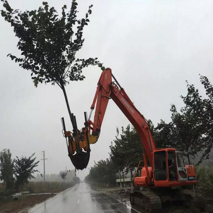 Большое дерево Лопата трансплантация земли движущиеся машины