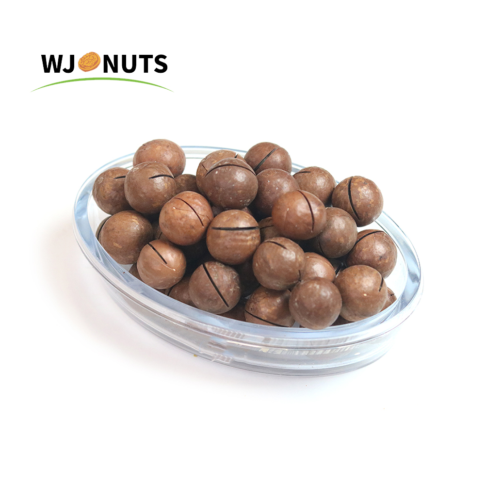 Chinese xinjiang 100% Natural best prices of macadamia nuts