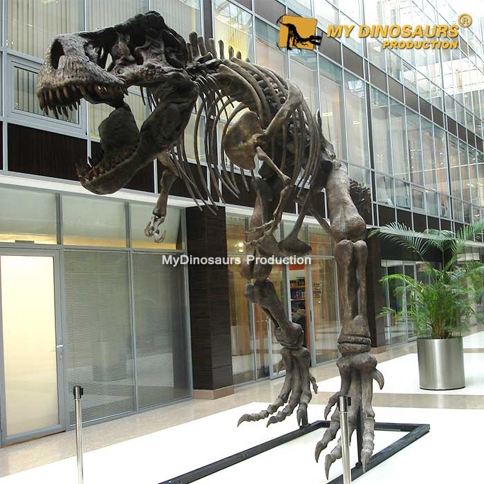 Скелет динозавра My-Dino, тираннозавр, король динозавров