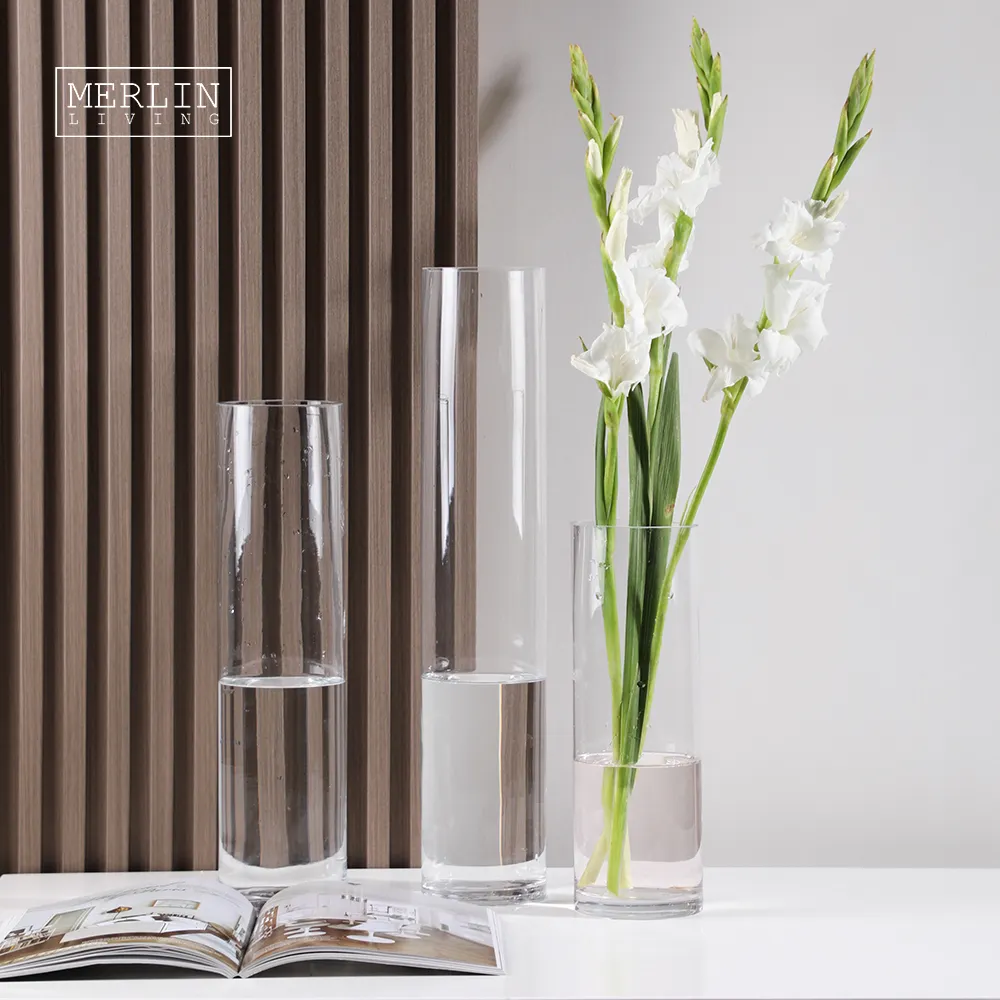 Merlin Living Modern Glass Flower Vase Living Room Decoration Glass Vase for Home Decor