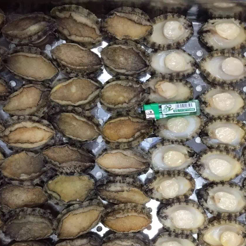 Frozen abalone Nutritious healthy and delicious seafood hot selling Wholesale No shell no guts