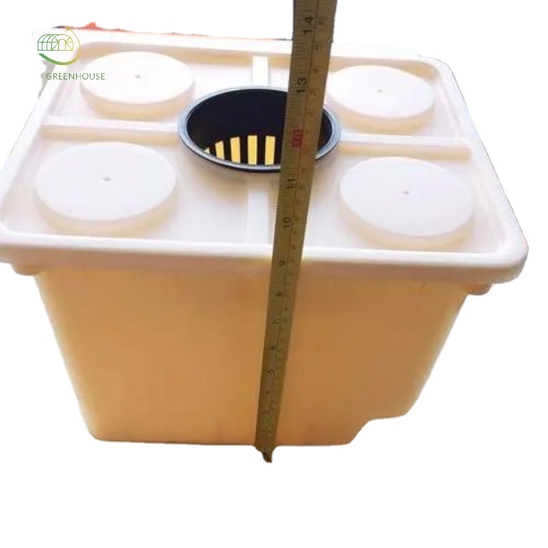 Good Quality Dutch Bucket Hydroponic Aeroponic System for Strawberry/ Leafy Vegetable