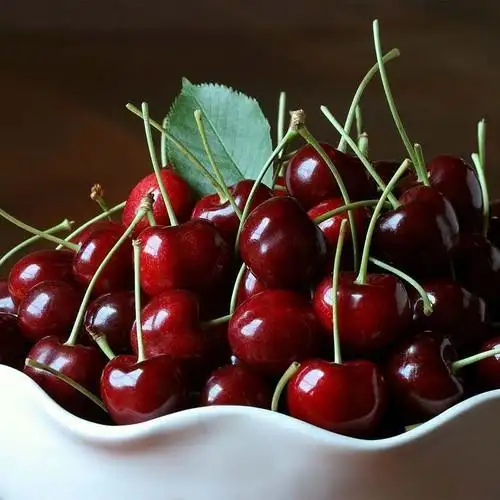 FRESH CHERRY & RED SWEET CHERRY WITH CERTIFICATE IN TURKEY