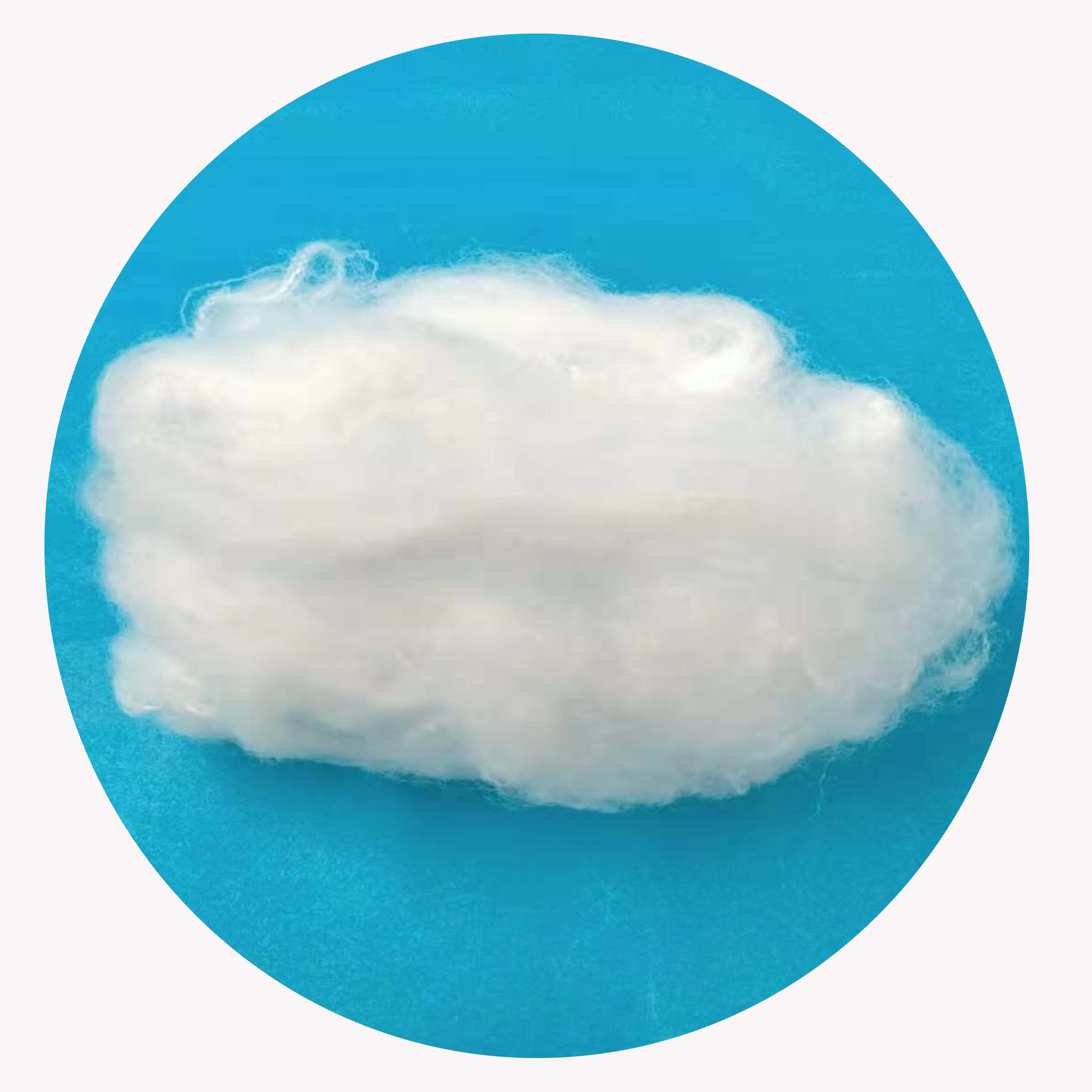 Raw White Nylon 6 Staple fiber for Filling
