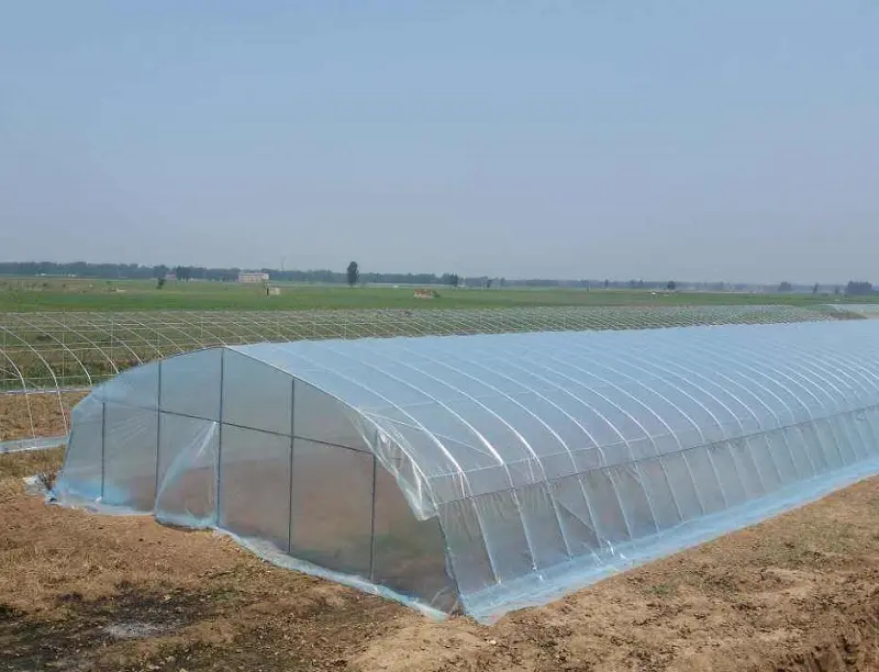 Low Cost Agriculture Greenhouse Poly Tunnel Farming For Sale